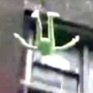 Meet your Posher, Liam